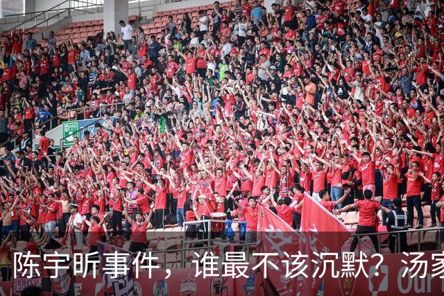 陈宇昕事件,谁最不该沉默?汤家凤博士一语戳中软肋